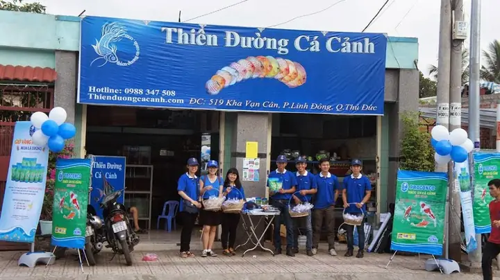 Thiên Đường Cá Cảnh: Khám Phá Thế Giới Cá Đẹp & Dịch Vụ Uy Tín