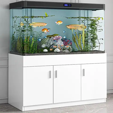 Thiết Bị Cá Cảnh: Danh Sách Phụ Kiện Cần Thiết Cho Bể Thủy Sinh & Hồ Koi