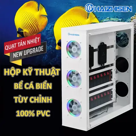 Các Thiết Bị Hồ Cá Biển Cần Thiết Cho Người Mới Bắt Đầu