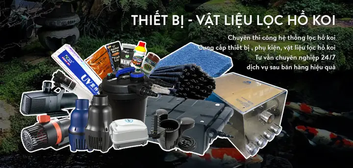Top 10 Thiết Bị Hồ Cá Cảnh Cần Thiết Cho Bể Thủy Sinh & Hồ Koi