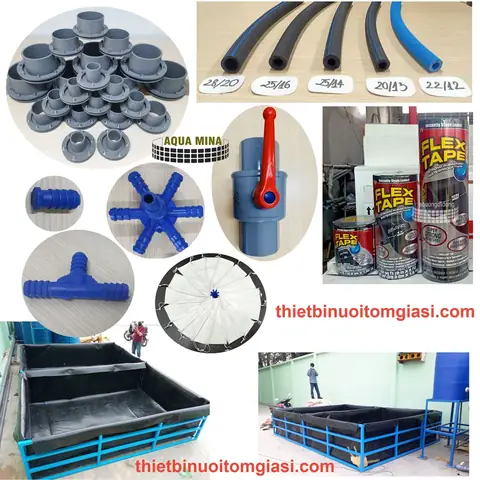 Top 10+ Cửa Hàng & Địa Chỉ Mua Thiết Bị Hồ Cá Tphcm Uy Tín, Giá Tốt