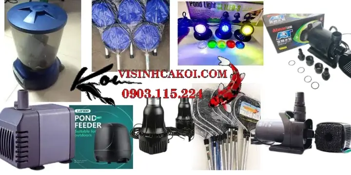 Top 10+ Cửa Hàng & Địa Chỉ Mua Thiết Bị Hồ Cá Tphcm Uy Tín, Giá Tốt