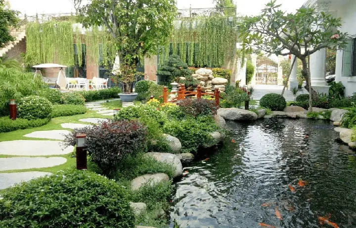 Thiết Kế Ao Cá: Hướng Dẫn Chi Tiết & Lưu Ý Quan Trọng Cho Mọi Không Gian