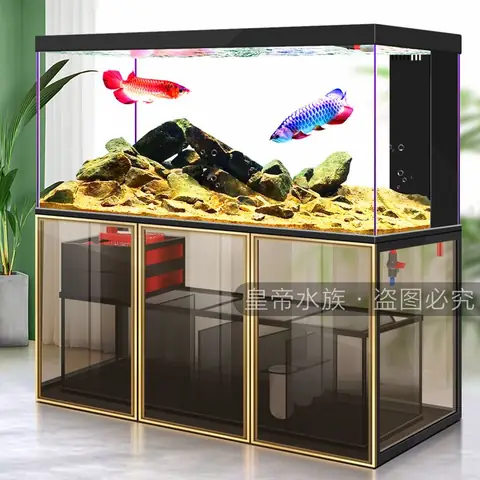Thiết Kế Bể Cá Rồng Đẹp: Mẫu Mã, Lời Khuyên & Thi Công Chuyên Nghiệp