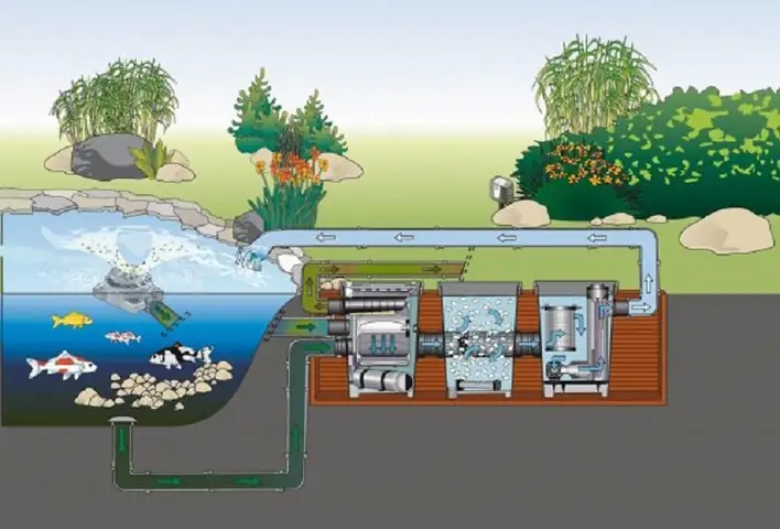 Thiết Kế Bể Lọc Hồ Cá Chuẩn & Cách Thi Công Chi Tiết