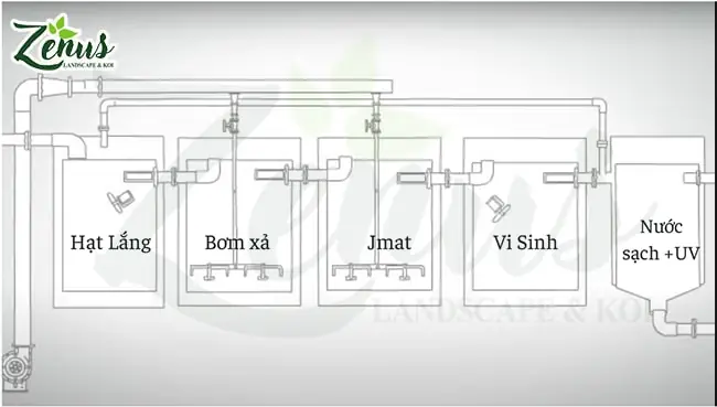 Thiết Kế Bể Lọc Hồ Cá Chuẩn & Cách Thi Công Chi Tiết