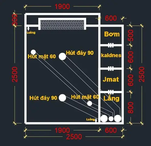 Thiết Kế Bể Lọc Hồ Cá Chuẩn & Cách Thi Công Chi Tiết