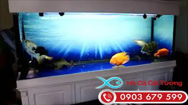 Thiết Kế Hồ Cá Vàng Chuẩn Đẹp: Hướng Dẫn Chi Tiết Setup & Trang Trí