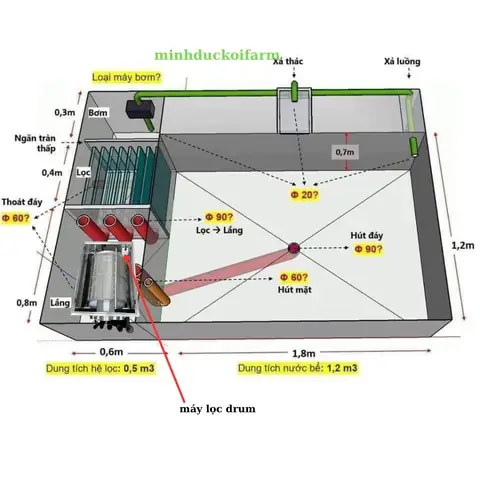 Thiết Kế Lọc Hồ Cá: Hướng Dẫn Tự Làm & Các Loại Phổ Biến