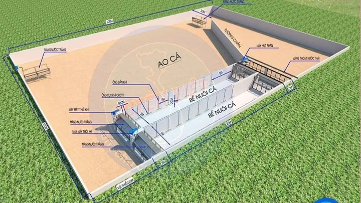 Hướng Dẫn Thiết Kế Và Triển Khai Mô Hình "sông Trong Ao" Nuôi Cá Hiệu Quả