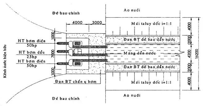 Hướng Dẫn Thiết Kế Và Triển Khai Mô Hình "sông Trong Ao" Nuôi Cá Hiệu Quả