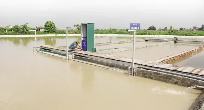 Hướng Dẫn Thiết Kế Và Triển Khai Mô Hình "sông Trong Ao" Nuôi Cá Hiệu Quả