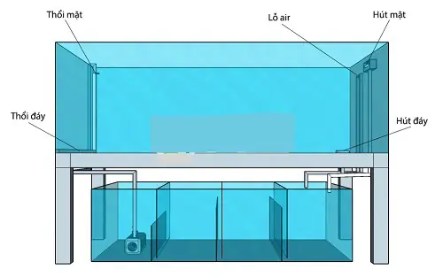 Máy Thổi Đáy Bể Cá: Hướng Dẫn Sử Dụng, Lắp Đặt & Lợi Ích