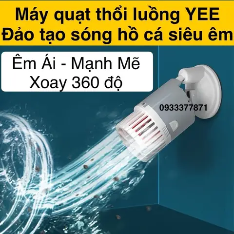 Thổi Luồng Hồ Cá Rồng: Có Nên Sử Dụng Và Cách Lắp Đặt Đúng Cách?