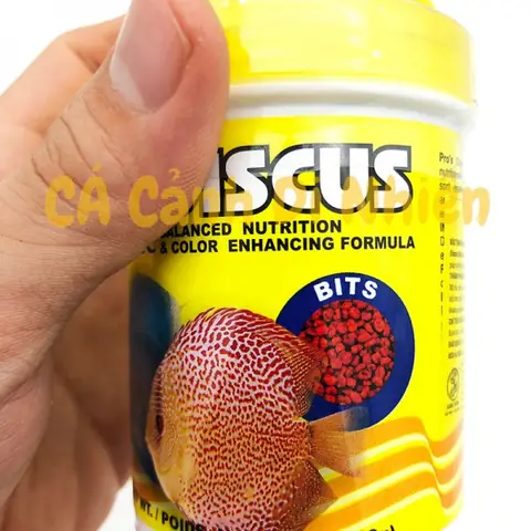 Thức Ăn Cá Dĩa Discus: Chọn Loại Nào Tốt Nhất Để Tăng Màu & Dinh Dưỡng?