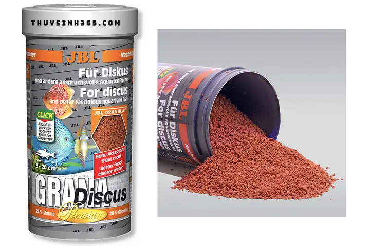 Thức Ăn Cá Dĩa Discus: Chọn Loại Nào Tốt Nhất Để Tăng Màu & Dinh Dưỡng?