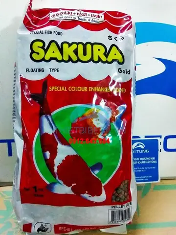 Thức Ăn Cá Koi Sakura: Chọn Loại Nào Tăng Trưởng, Tăng Màu Tốt Nhất?
