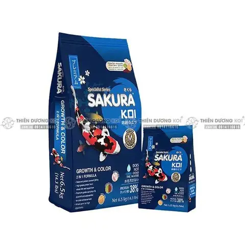 Thức Ăn Cá Koi Sakura: Chọn Loại Nào Tăng Trưởng, Tăng Màu Tốt Nhất?