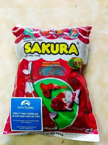 Thức Ăn Cá Koi Sakura: Chọn Loại Nào Tăng Trưởng, Tăng Màu Tốt Nhất?