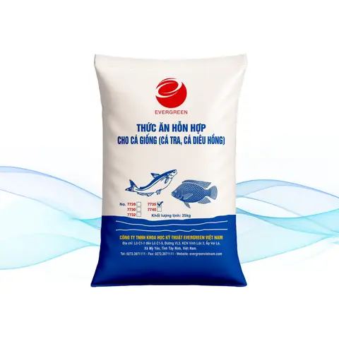 Thức Ăn Cá Trê: Các Loại Phù Hợp, Cách Nuôi Tối Ưu Và Lợi Ích Sức Khỏe Thức Ăn Cá Trê: Các Loại Phù Hợp, Cách Nuôi Tối Ưu Và Lợi Ích Sức Khỏe