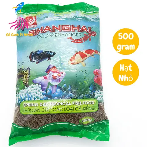 Thức Ăn Cho Cá: Các Loại, Cách Chọn Và Tự Làm Tốt Nhất Thức Ăn Cho Cá: Các Loại, Cách Chọn Và Tự Làm Tốt Nhất