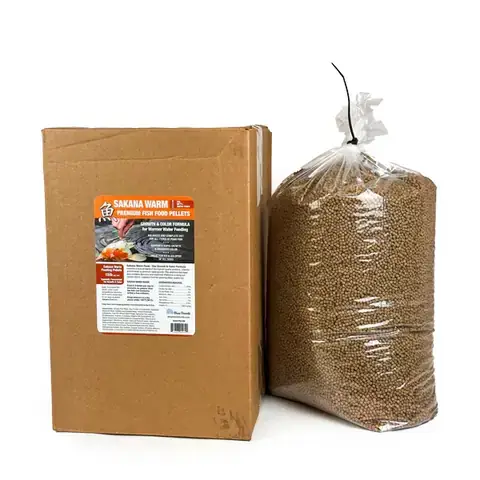 Thức Ăn Cho Cá Betta Mau Lớn: Loại Nào Tốt Nhất & Cách Chế Độ Dinh Dưỡng