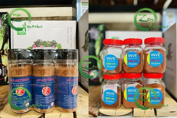 Thức Ăn Cho Cá Betta Mau Lớn: Loại Nào Tốt Nhất & Cách Chế Độ Dinh Dưỡng