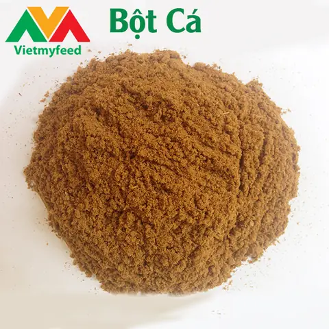 Thức Ăn Cho Cá Bột: Hướng Dẫn Chi Tiết Từ A-z & Các Loại Tốt Nhất Thức Ăn Cho Cá Bột: Hướng Dẫn Chi Tiết Từ A-z & Các Loại Tốt Nhất