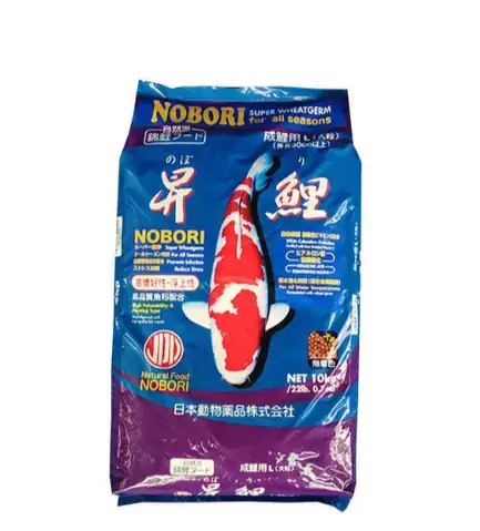 Thức Ăn Cá Chép Nhật: Chọn Loại Nào Tốt Nhất Cho Tăng Trưởng & Lên Màu Đẹp?