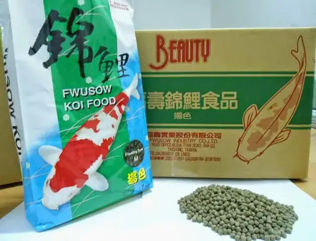 Thức Ăn Cá Chép Nhật: Chọn Loại Nào Tốt Nhất Cho Tăng Trưởng & Lên Màu Đẹp?