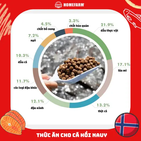 Thức Ăn Cho Cá Hồi: Thành Phần, Loại & Cách Chọn Tốt Nhất