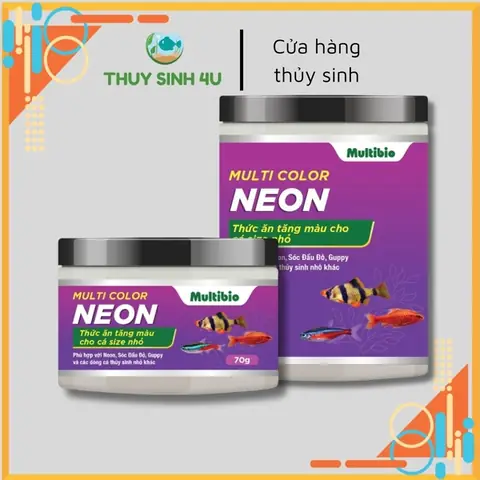 Thức Ăn Cho Cá Neon Vua: Lựa Chọn Nào Tốt Nhất Giúp Cá Lên Màu Và Khỏe Mạnh?