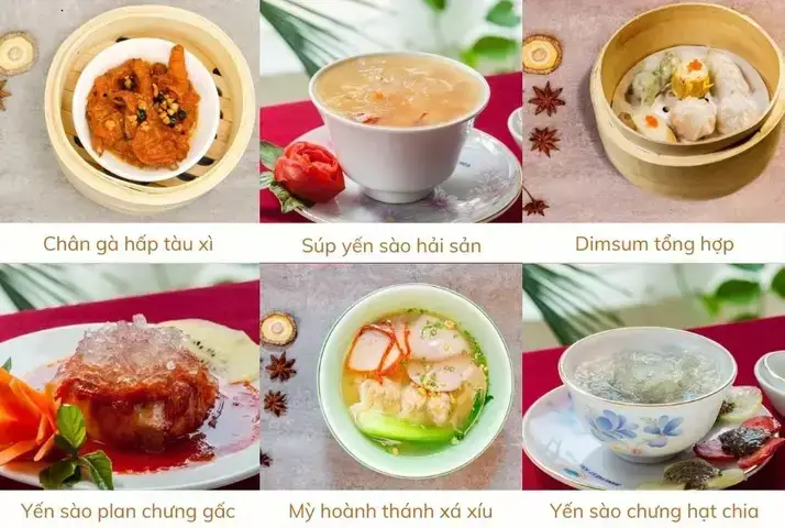 Thức Ăn Cho Cá Ở Nha Trang: Địa Chỉ Mua & Lựa Chọn Phù Hợp