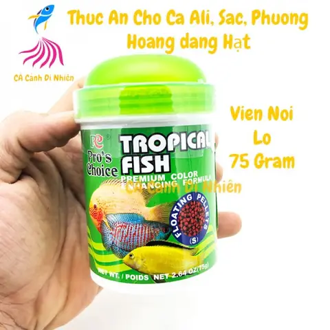 Thức Ăn Cho Cá Phượng Hoàng: Chế Độ Dinh Dưỡng Tối Ưu & Gợi Ý Lựa Chọn Thức Ăn Cho Cá Phượng Hoàng: Chế Độ Dinh Dưỡng Tối Ưu & Gợi Ý Lựa Chọn