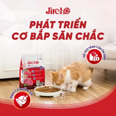 Thức Ăn Cho Cá Sấu Con: Hướng Dẫn Nuôi Dưỡng Chi Tiết