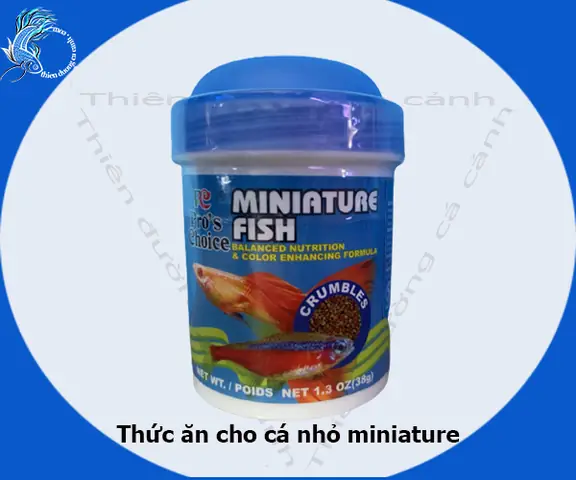 Chọn Thức Ăn Phù Hợp Cho Cá Thủy Sinh: Hướng Dẫn Chi Tiết Từ A-z Chọn Thức Ăn Phù Hợp Cho Cá Thủy Sinh: Hướng Dẫn Chi Tiết Từ A-z