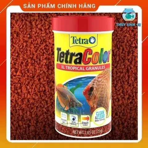 Chọn Thức Ăn Phù Hợp Cho Cá Thủy Sinh: Hướng Dẫn Chi Tiết Từ A-z Chọn Thức Ăn Phù Hợp Cho Cá Thủy Sinh: Hướng Dẫn Chi Tiết Từ A-z