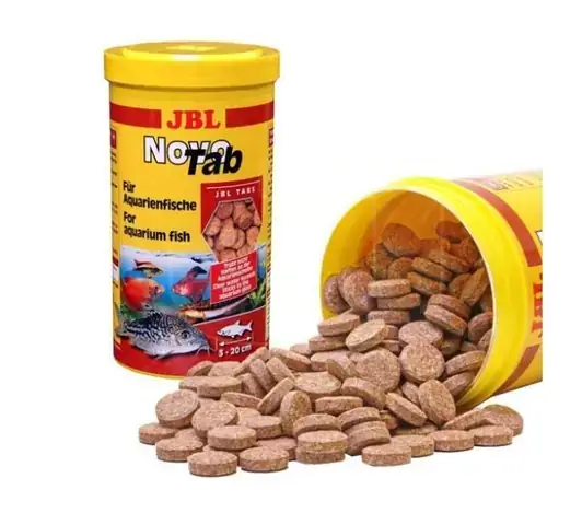 Chọn Thức Ăn Phù Hợp Cho Cá Thủy Sinh: Hướng Dẫn Chi Tiết Từ A-z Chọn Thức Ăn Phù Hợp Cho Cá Thủy Sinh: Hướng Dẫn Chi Tiết Từ A-z