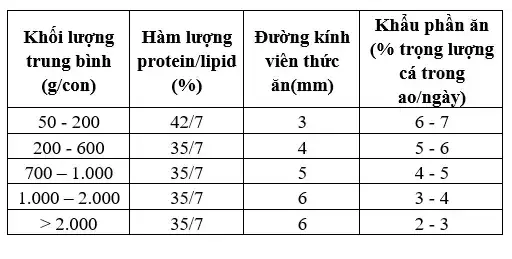 Thức Ăn Công Nghiệp Cho Cá Trắm Đen: Loại Nào Tốt, Cách Dùng Hiệu Quả? Thức Ăn Công Nghiệp Cho Cá Trắm Đen: Loại Nào Tốt, Cách Dùng Hiệu Quả?