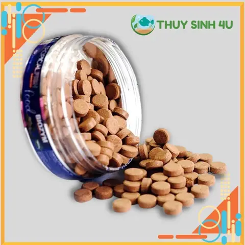 Thức Ăn Dán Hồ Cá: Hướng Dẫn Chọn Lựa & Sử Dụng Cho Cá Sung Khỏe