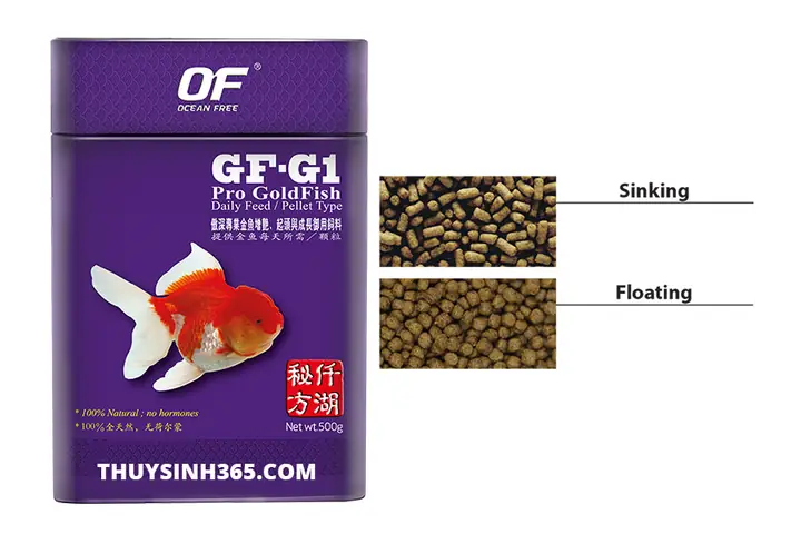 Cá Ba Đuôi Ăn Gì? Hướng Dẫn Chế Độ Dinh Dưỡng Tốt Nhất Cá Ba Đuôi Ăn Gì? Hướng Dẫn Chế Độ Dinh Dưỡng Tốt Nhất