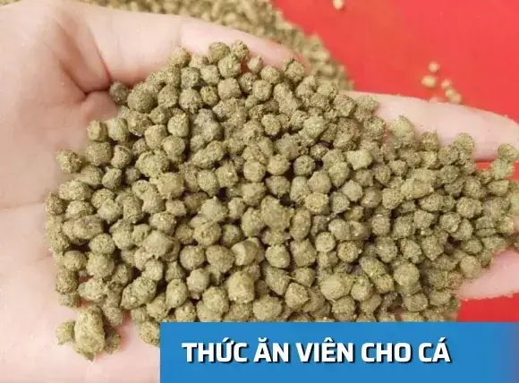 Thức Ăn Viên Cho Cá: Hướng Dẫn Chọn, Sử Dụng & Tự Chế