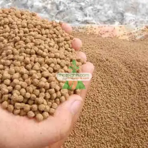 Thức Ăn Viên Cho Cá: Hướng Dẫn Chọn, Sử Dụng & Tự Chế