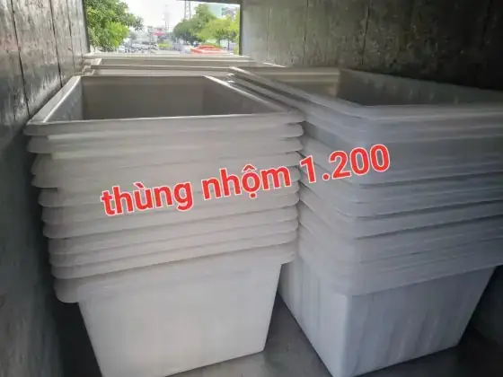Thùng Composite Pom Cá Rồng: Hướng Dẫn Chọn Mua & Nuôi Cá Chuẩn Chuyên Gia