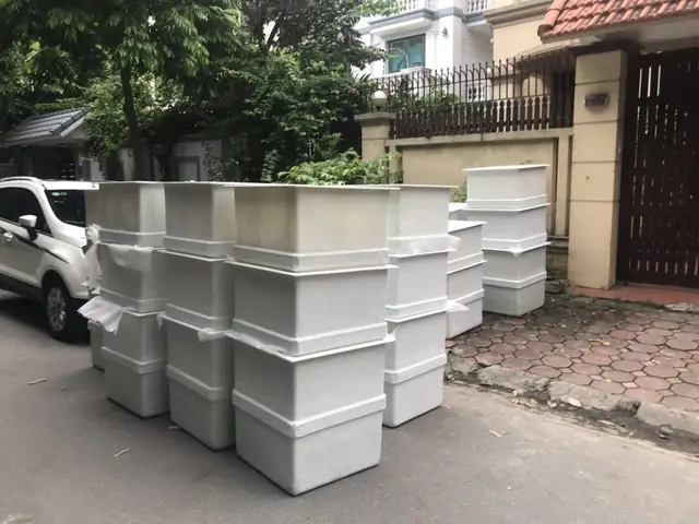 Thùng Composite Pom Cá Rồng: Hướng Dẫn Chọn Mua & Nuôi Cá Chuẩn Chuyên Gia