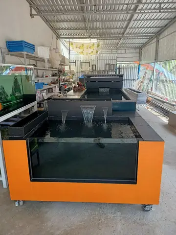 Thùng Composite Pom Cá Rồng: Hướng Dẫn Chọn Mua & Nuôi Cá Chuẩn Chuyên Gia
