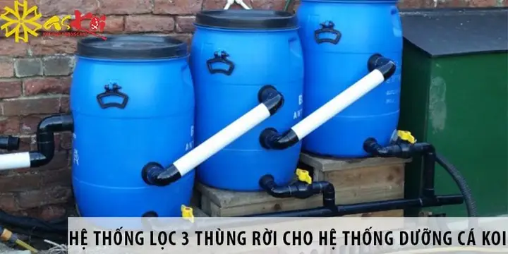 Thùng Lắng Hồ Cá: Hướng Dẫn Tự Làm, Nguyên Lý Hoạt Động & Chọn Mua Thùng Lắng Hồ Cá: Hướng Dẫn Tự Làm, Nguyên Lý Hoạt Động & Chọn Mua
