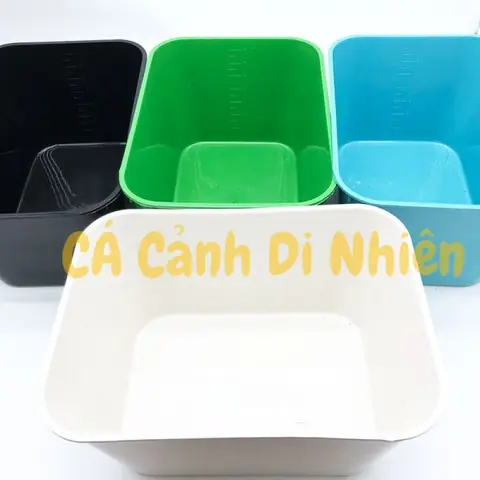 Thùng Nhựa Ép Cá: Hướng Dẫn Chọn Mua & Sử Dụng Hiệu Quả Thùng Nhựa Ép Cá: Hướng Dẫn Chọn Mua & Sử Dụng Hiệu Quả
