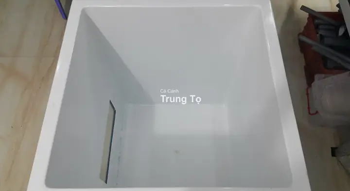 Thùng Pom Cá Rồng: Cấu Tạo, Công Dụng Và Kinh Nghiệm Chọn Mua Tối Ưu