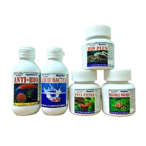 Thuốc Anti-bio Cho Cá: Công Dụng, Cách Dùng Và Các Lưu Ý Quan Trọng